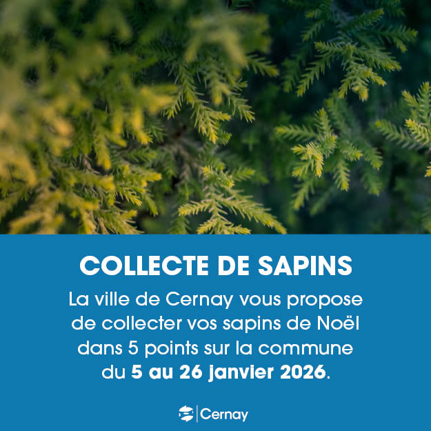 On y voit les branches d'un sapin