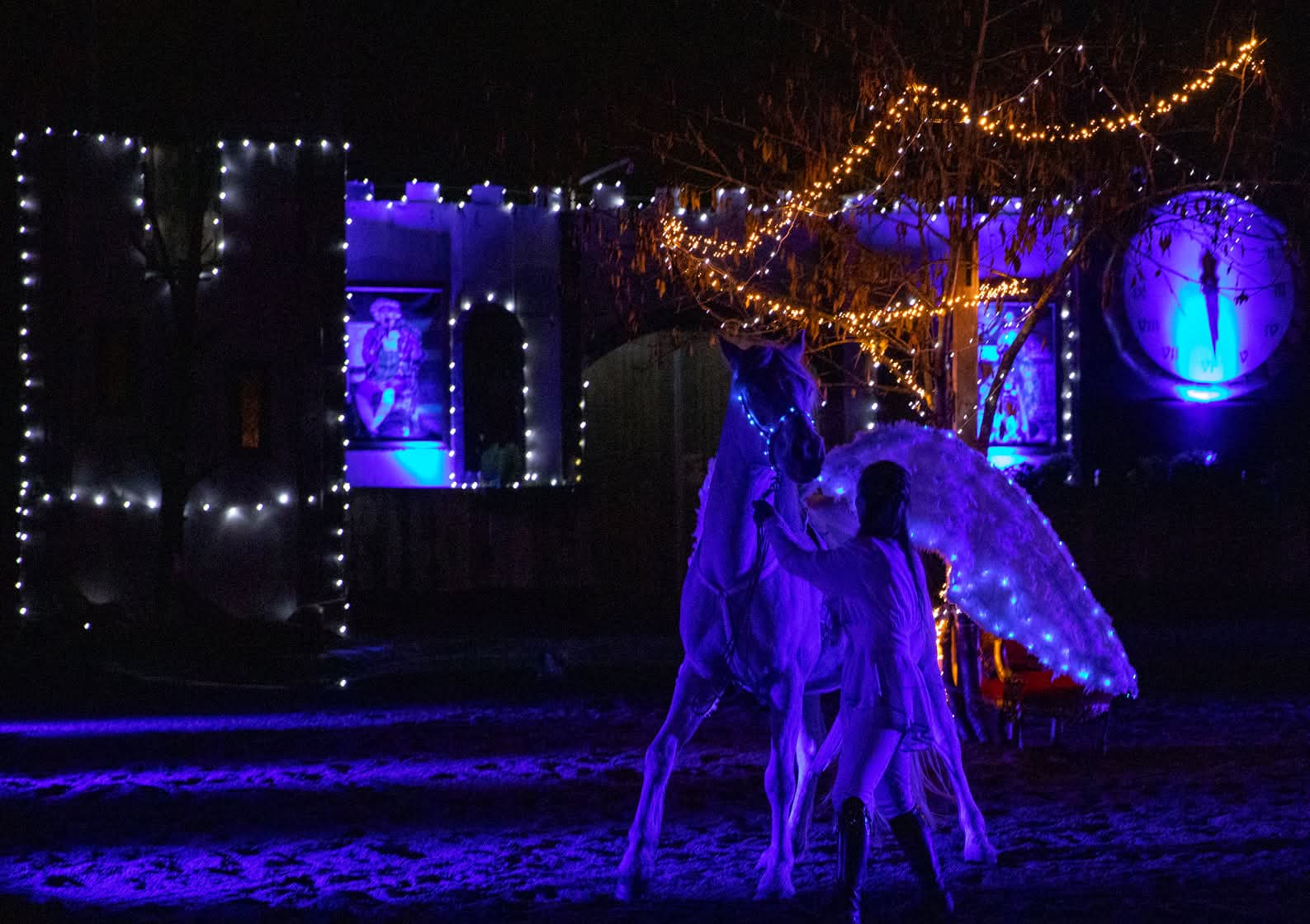 Troupe LIBERTAD On y voit un cheval dans le noir avec des LED