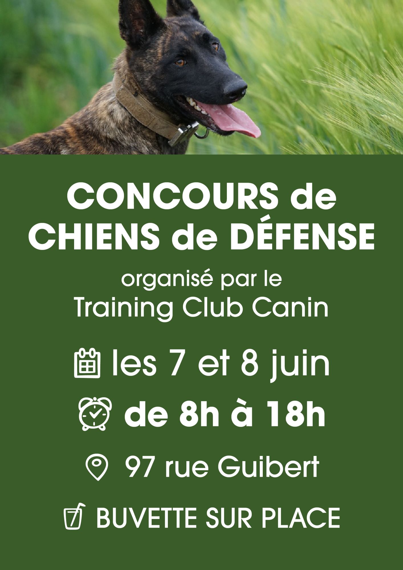 En haut de l'affiche, on y voit un chien dans un champ