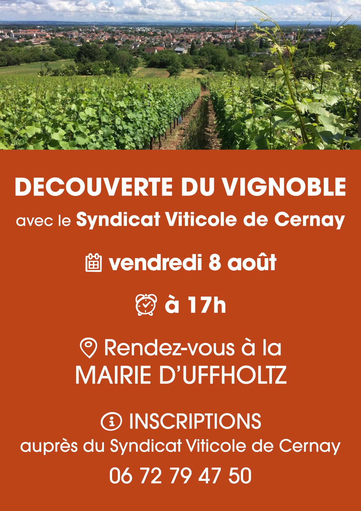 Photo de vue  des vignes sur la ville de Cernay