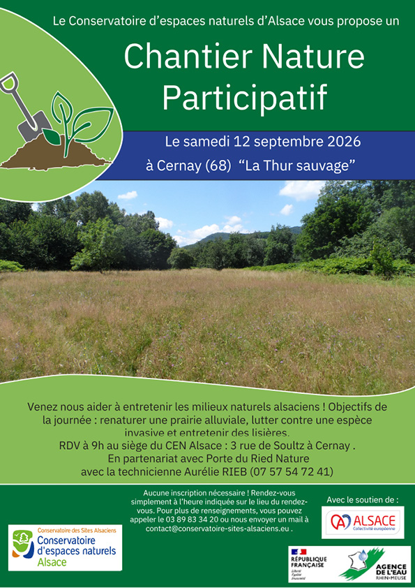 Chantier nature participatif avec le Concerhatoire d'espaces naturels d'Alsace le 12-09-26 à Cernay On y voit la lisière d'une forêt avec les Vosges en arrière plan