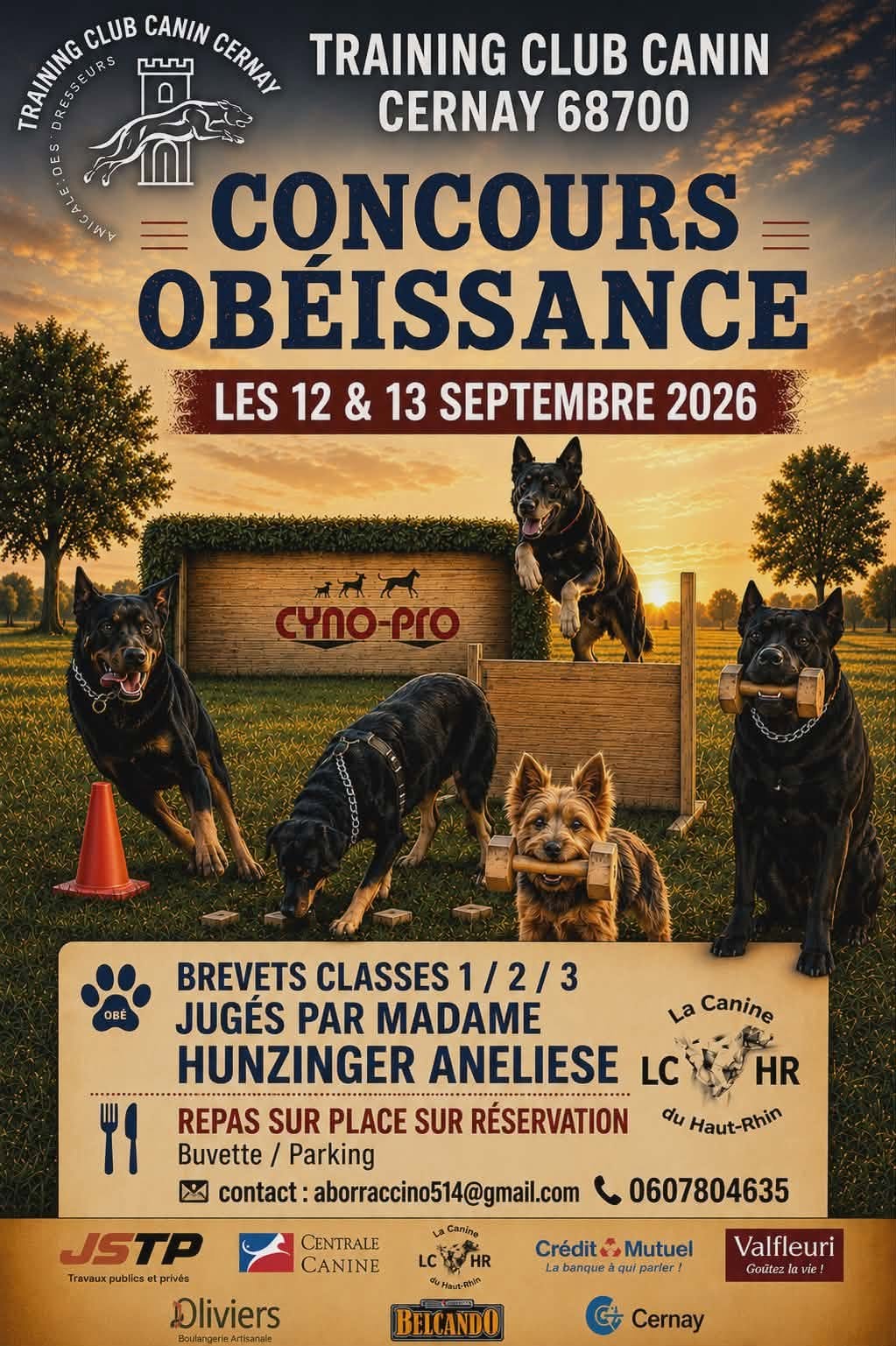 Concours d'obéissance - Club canin de Cernay les 12 et 13-09-26 On y voit des chiens en pleine séance de travail d'obéissance