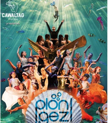SPECTACLE DE DANSE - PLONGEZ