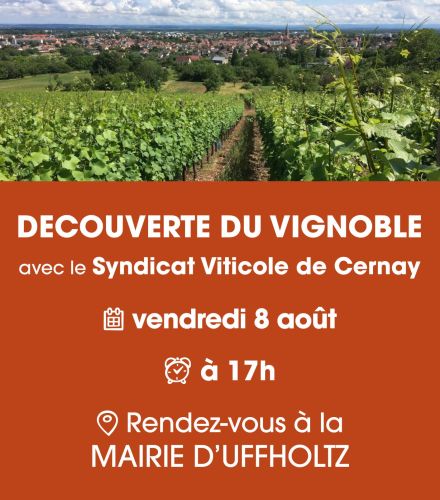 DECOUVERTE DU VIGNOBLE