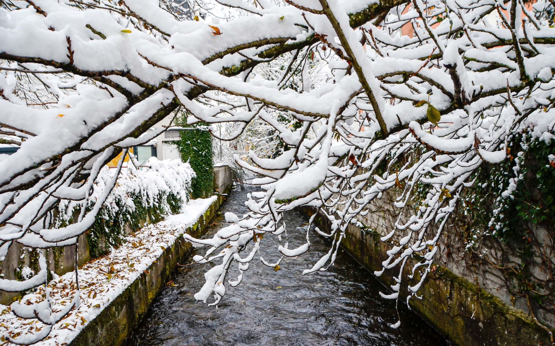 Un jour de neige à cernay