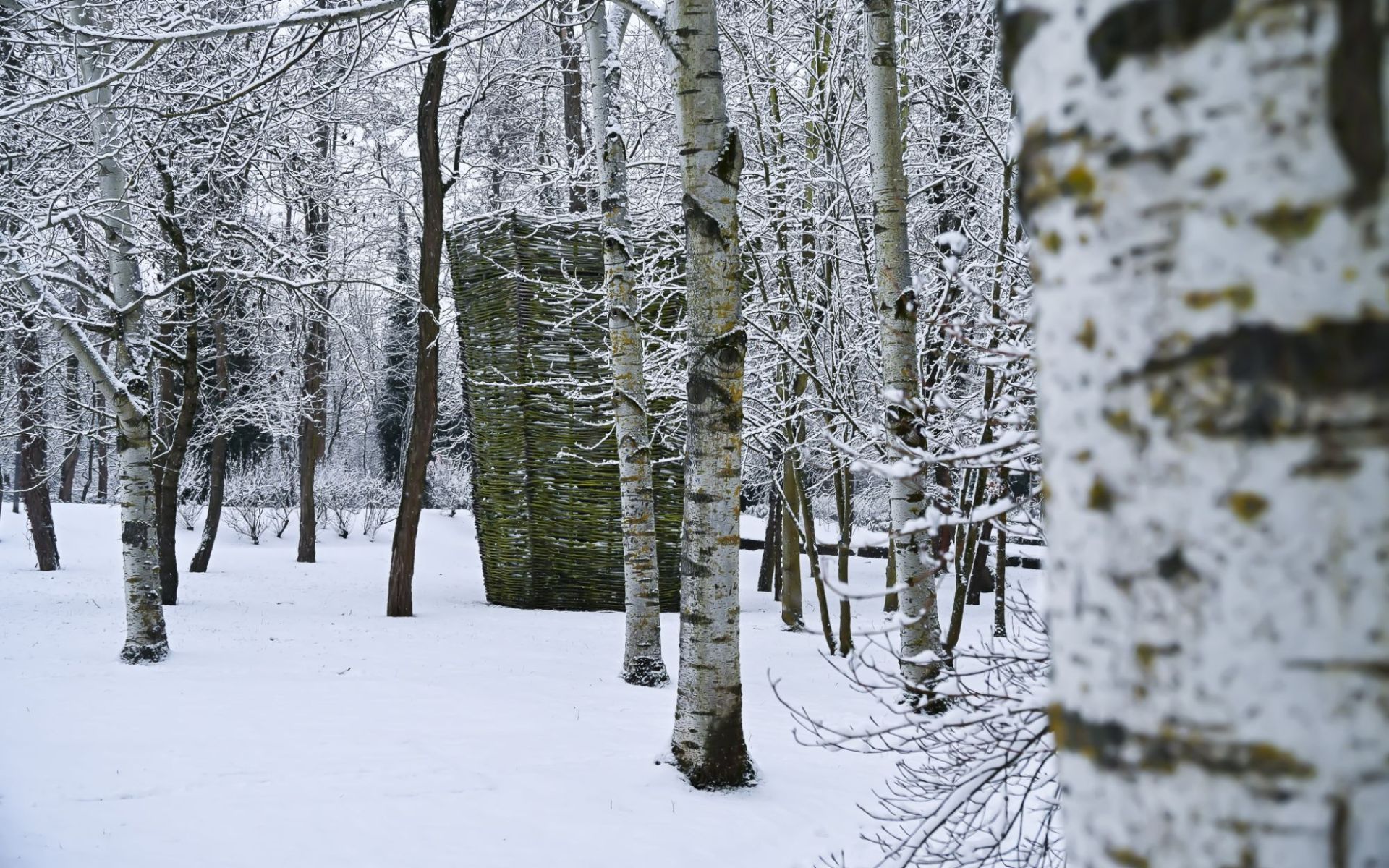 La parc du Grün sous la neige 2026