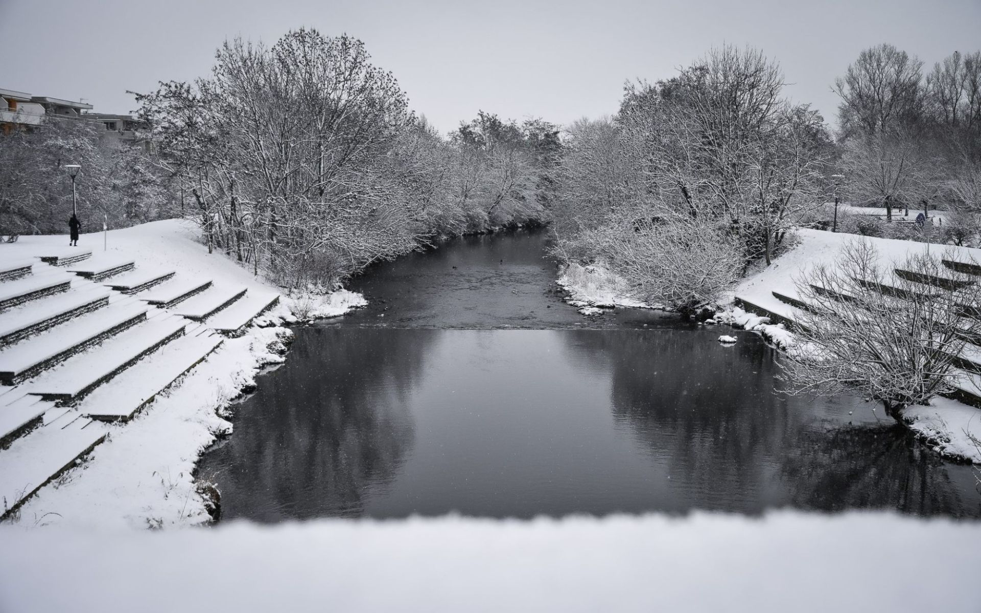 Clairière sud sous la neige 2026