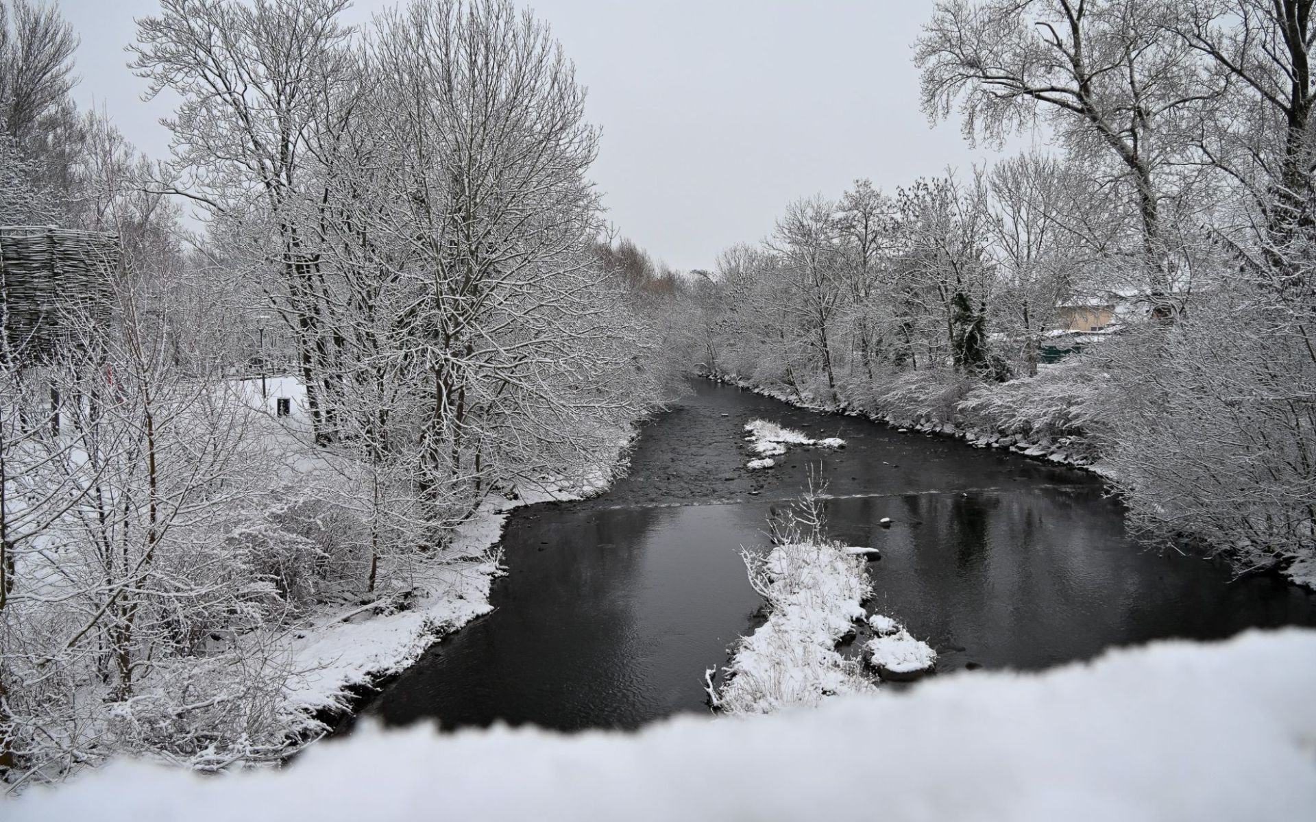 Les rives de la Thur sous la neige 2026